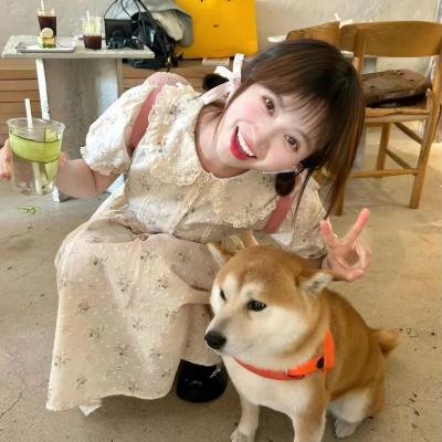 朱莉小姐